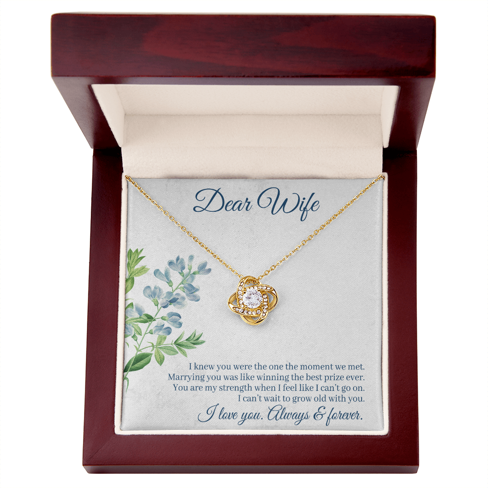 Dear Wife Necklace – 18K Gold Love Knot Pendant with Sparkling Stone – Romantic Anniversary, Birthday, or Christmas Gift from Husband
