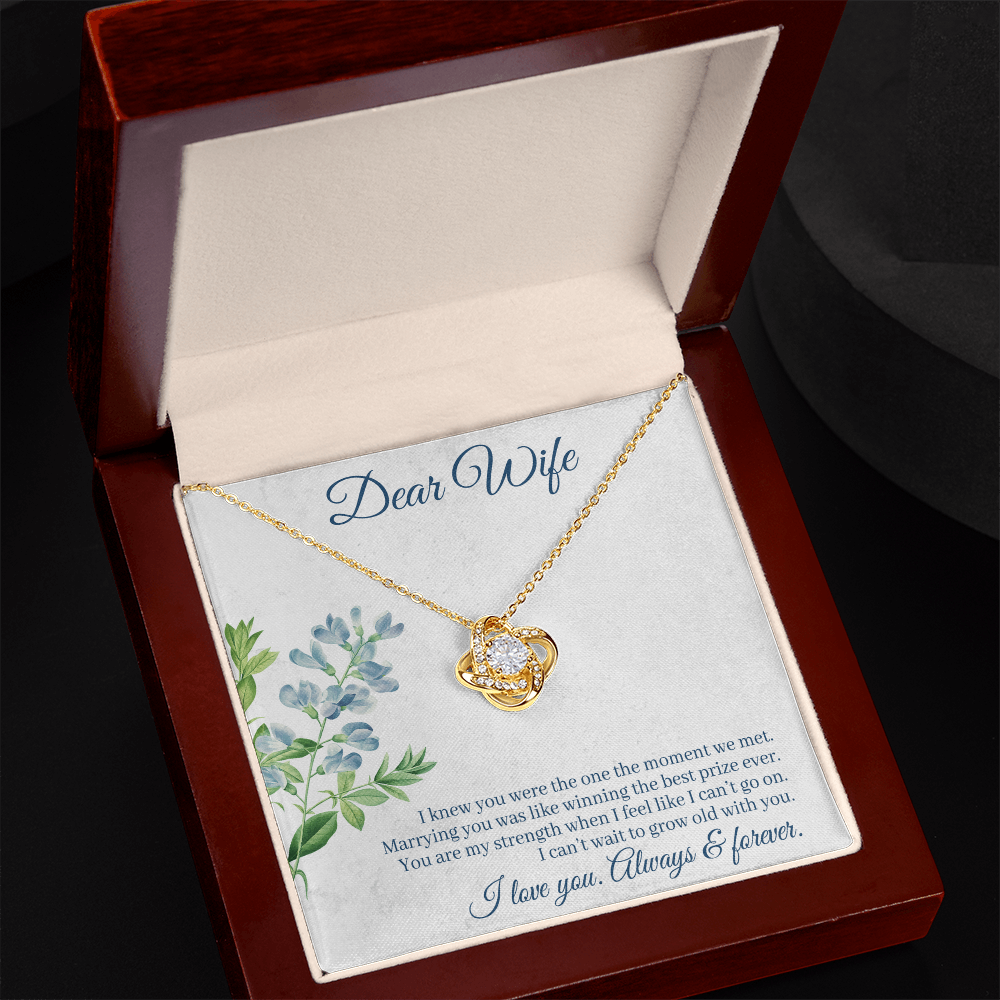 Dear Wife Necklace – 18K Gold Love Knot Pendant with Sparkling Stone – Romantic Anniversary, Birthday, or Christmas Gift from Husband