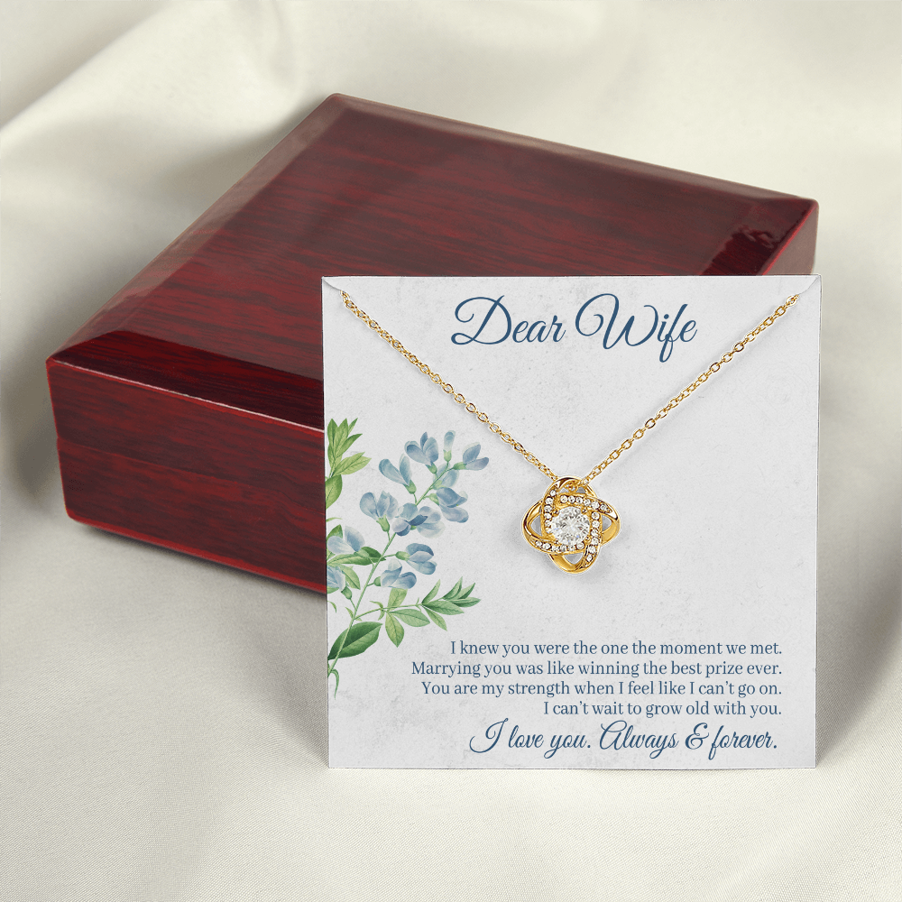 Dear Wife Necklace – 18K Gold Love Knot Pendant with Sparkling Stone – Romantic Anniversary, Birthday, or Christmas Gift from Husband