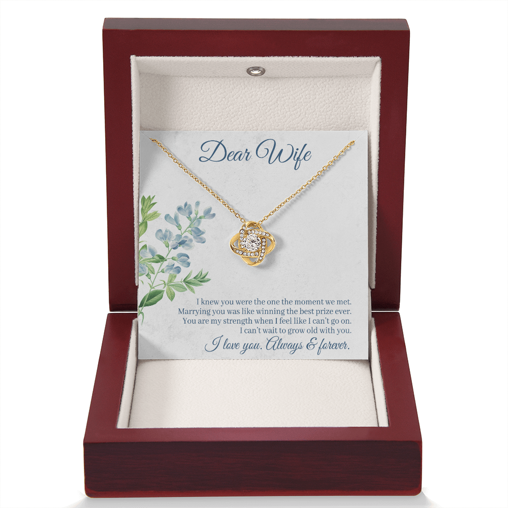 Dear Wife Necklace – 18K Gold Love Knot Pendant with Sparkling Stone – Romantic Anniversary, Birthday, or Christmas Gift from Husband