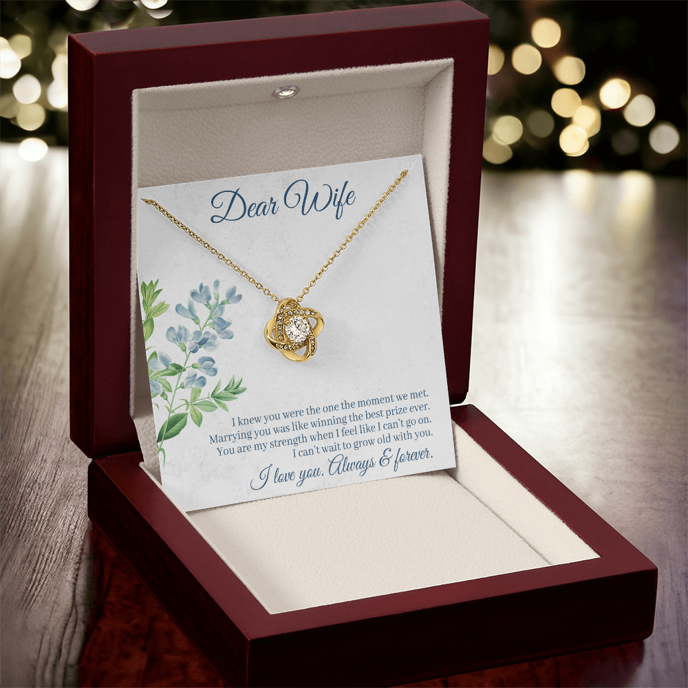 Dear Wife Necklace – 18K Gold Love Knot Pendant with Sparkling Stone – Romantic Anniversary, Birthday, or Christmas Gift from Husband